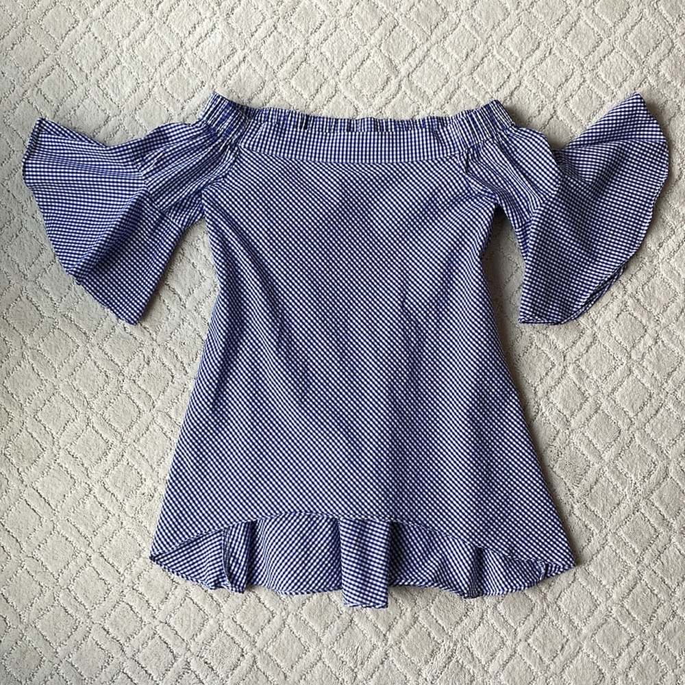 NWOT Blue and White Gingham Top